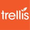 Trellis 