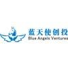 Blue Angels Ventures (basicVC)